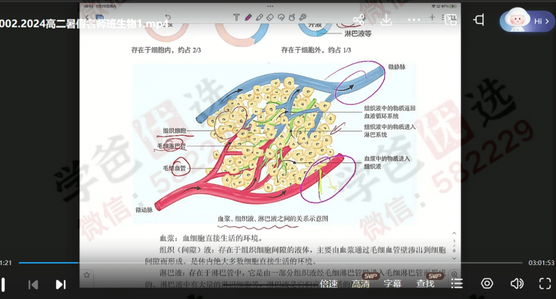 图片[2]-【002208】【高中生物】蔡华成：高二生物（23暑秋寒春）智仁学堂-学爸优选