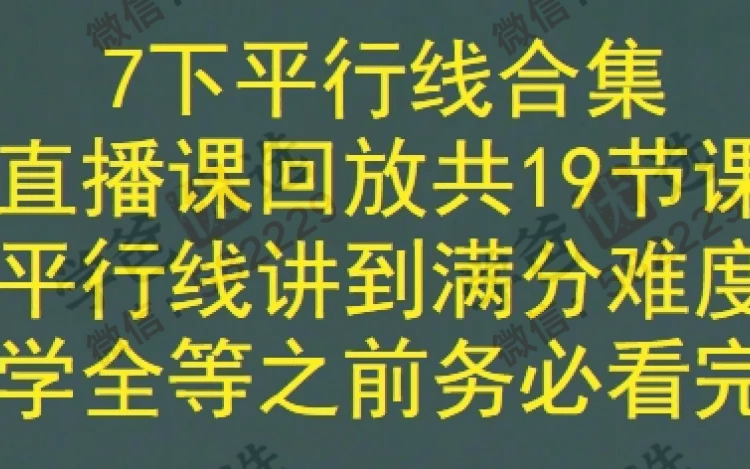 图片[4]-【002298】【初中数学】董大狮：初一数学下册平行线基础题+通关20题-学爸优选