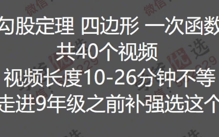 图片[5]-【002301】【初中数学】董大狮：初二数学勾股定理一次函数四边形通关40题-学爸优选