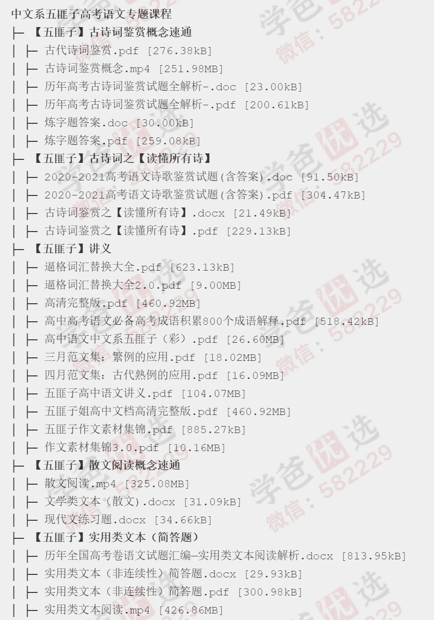 图片[4]-【002341】【高中语文】中文系五匪子：作文与阅读专题课（高考冲分）-学爸优选