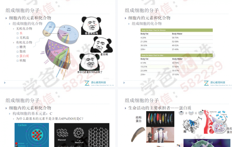 图片[3]-【002352】【高中生物】【资料】质心：10天学完高中生物-学爸优选