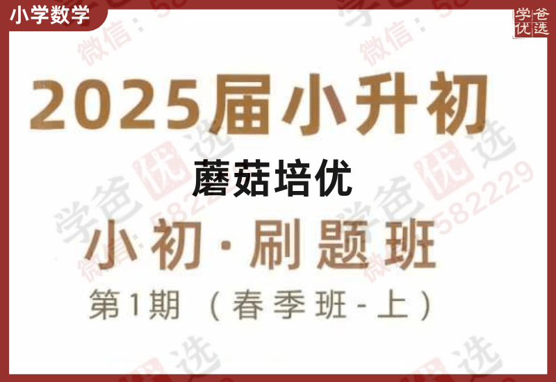 【002384】【小学数学】【加密】上海蘑菇培优：小升初神秘考SMK刷题班-学爸优选